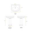 Whitehaus LA10-LA03 Traditional Pedestal with Integrated Oval Bowl and Rear Overflow